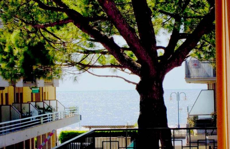 Cond. EDERA 12 a 50 mt dal mare - piazza Nemeber